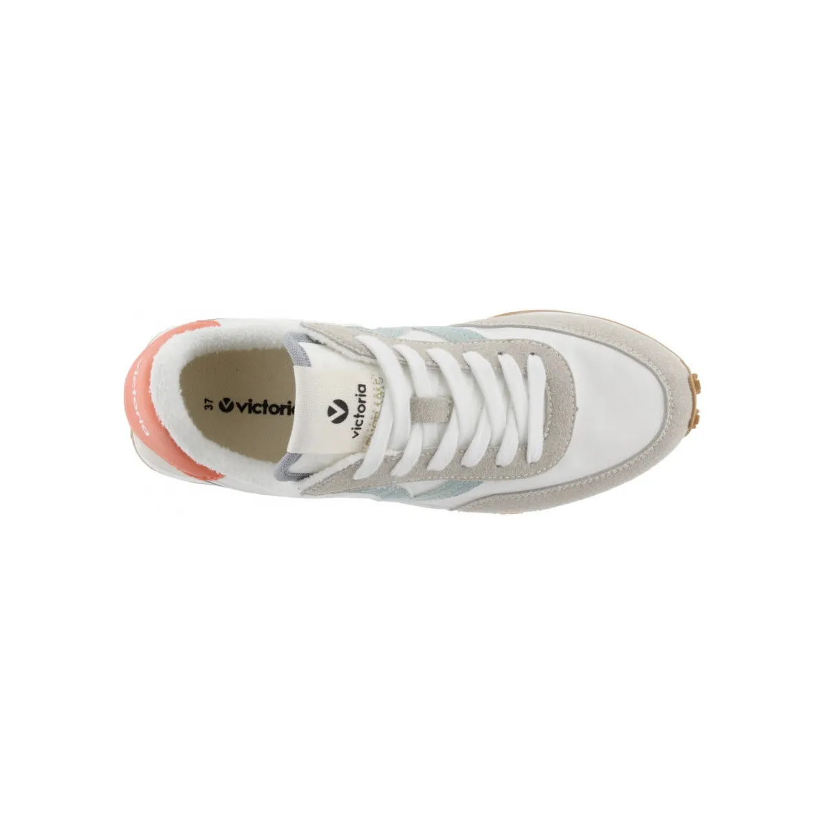 Astro nylon color