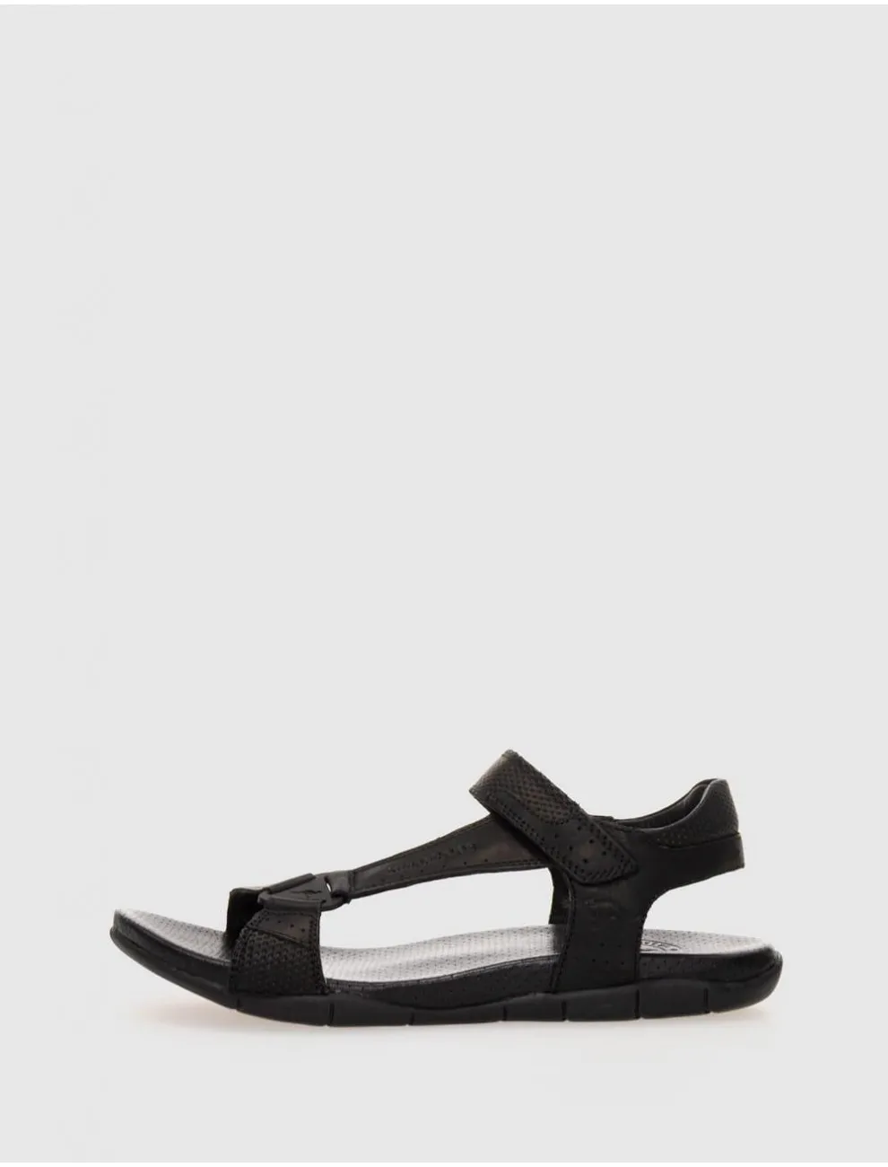 Californiana Kangaroos 329 Negro