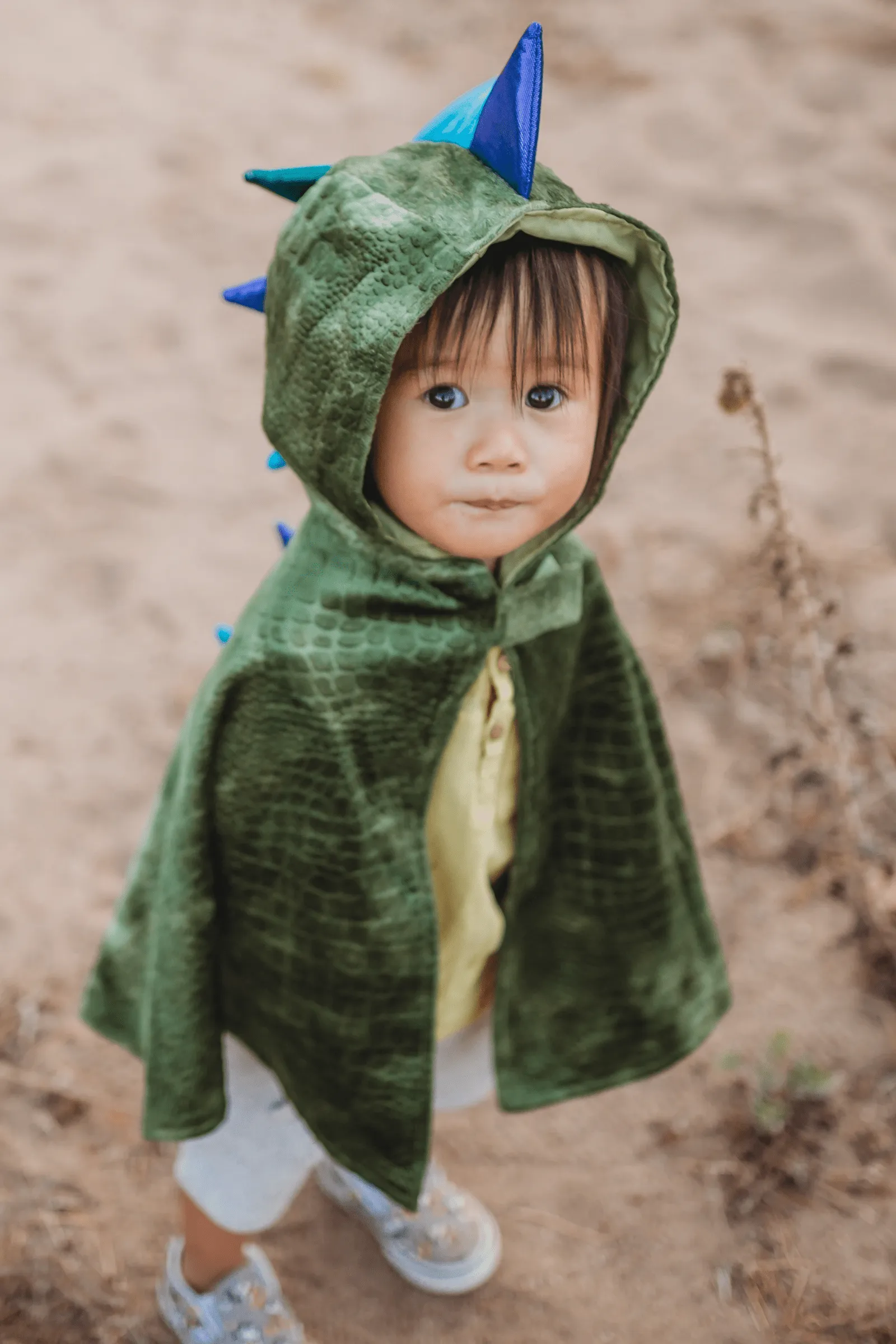 CAPA BABY DRAGóN · GREAT PRETENDERS 1224 MESES