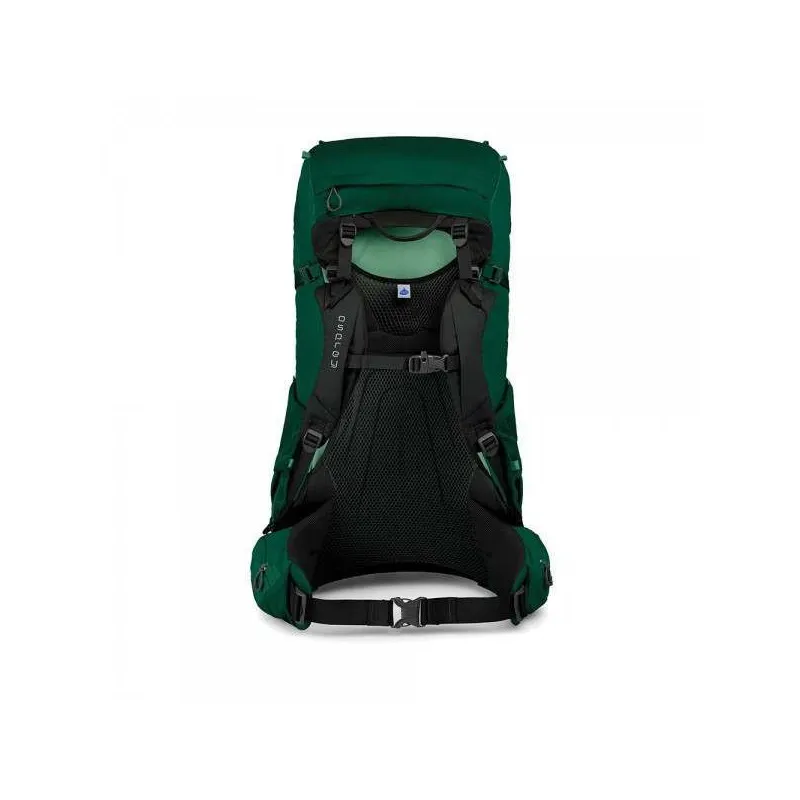 mochila senderismo Osprey Rook 65L (Mallard Green)