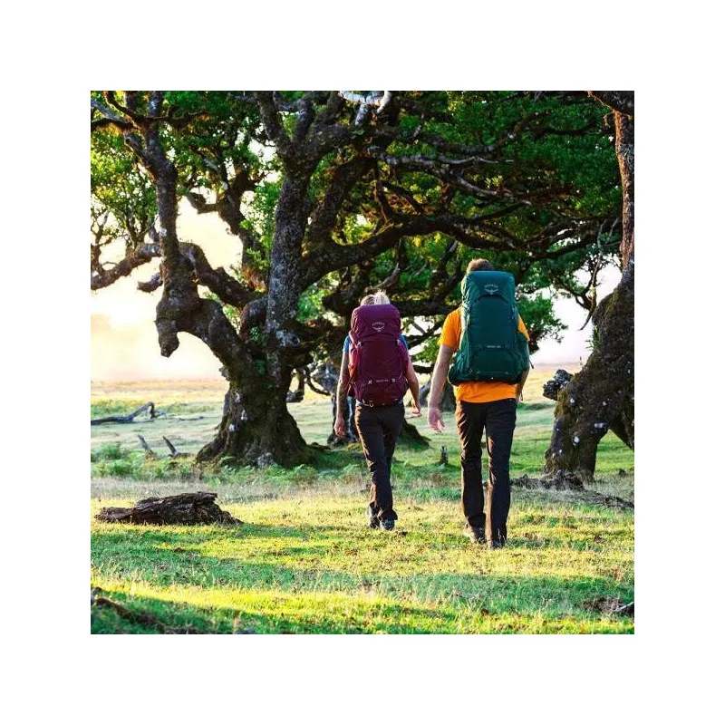 mochila senderismo Osprey Rook 65L (Mallard Green)
