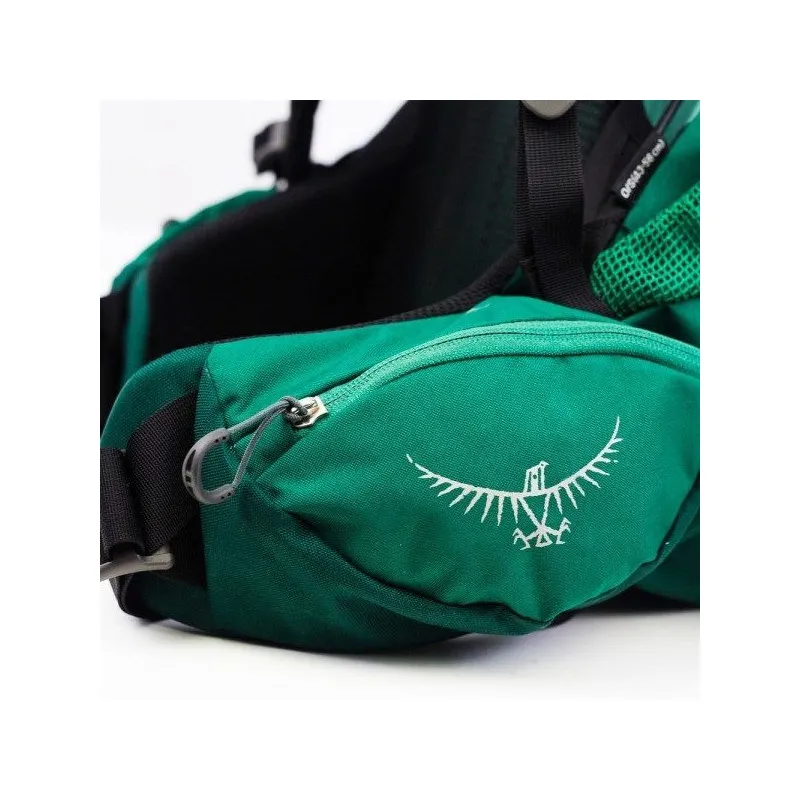 mochila senderismo Osprey Rook 65L (Mallard Green)