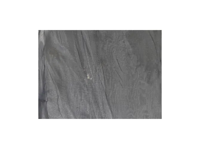 Top transparente de Gianfranco Ferré Gris 